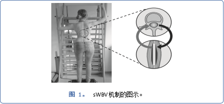 文獻(xiàn)分享 | 基于家庭的振動(dòng)輔助運(yùn)動(dòng)作為脊柱側(cè)彎的新治療選擇